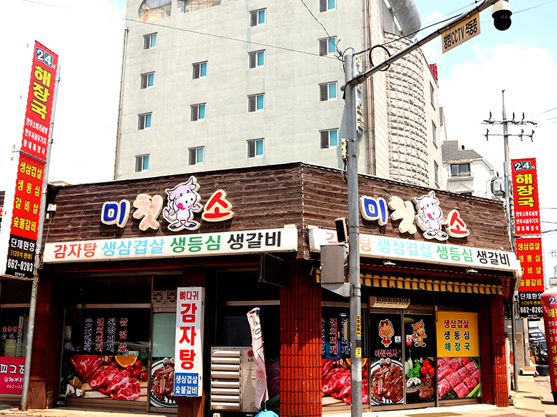 피그조아미첫소 소개 1